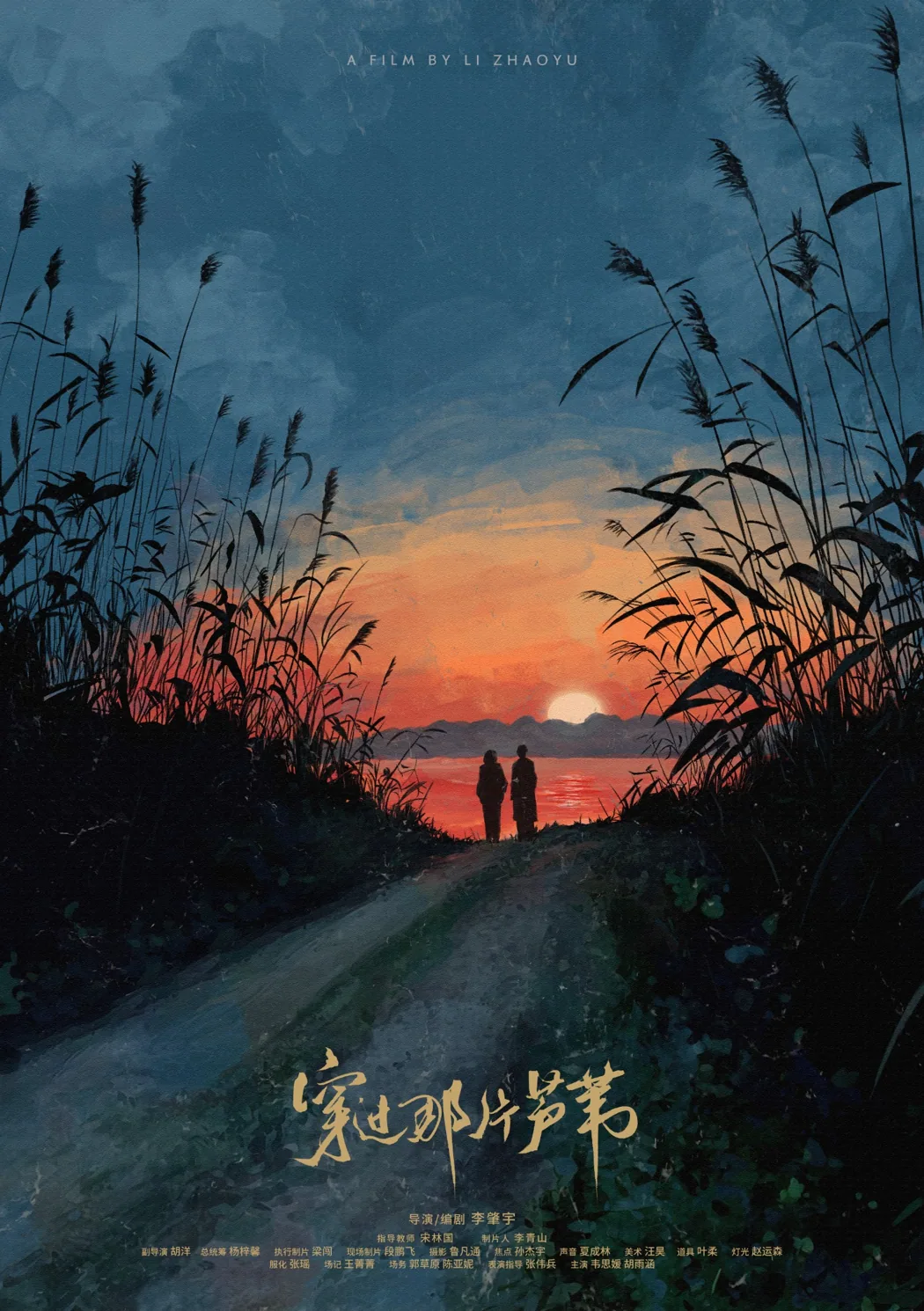 穿过那片芦苇海报